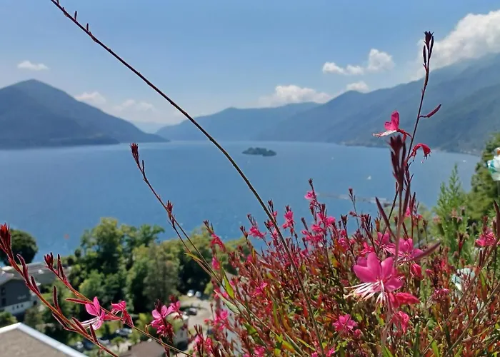 Sollevante Ascona