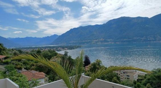 Sollevante * Ascona