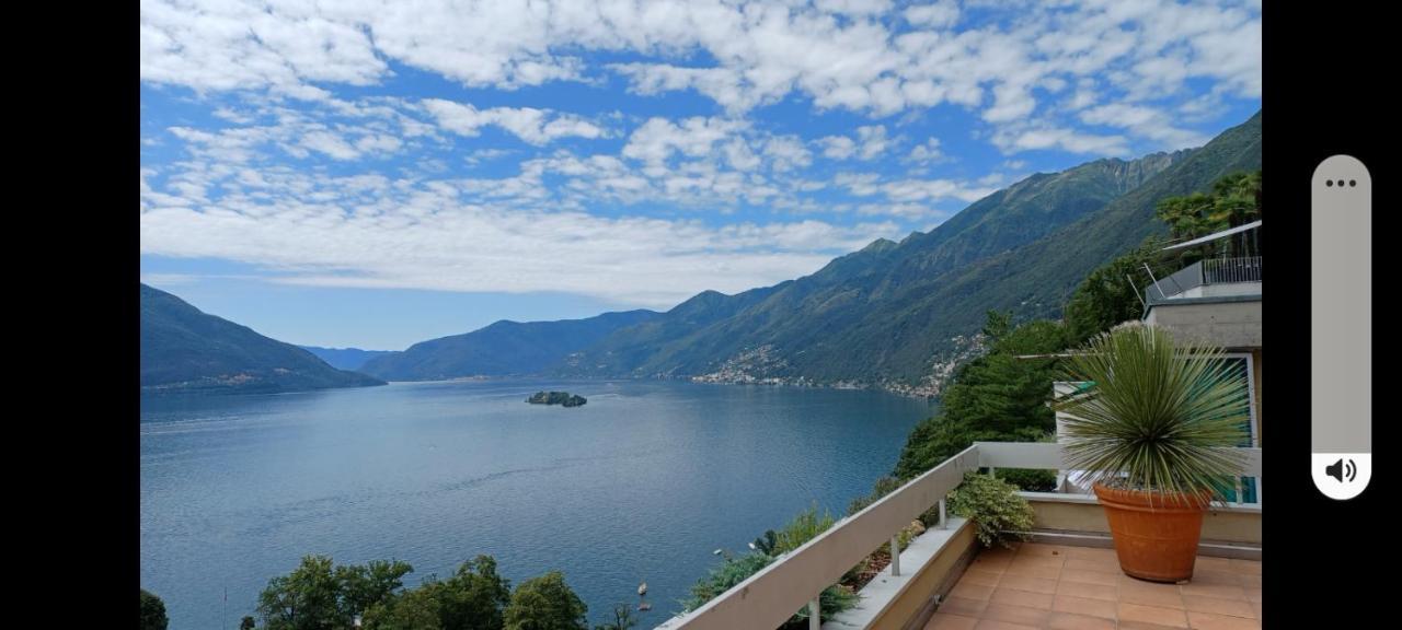 Sollevante Ascona