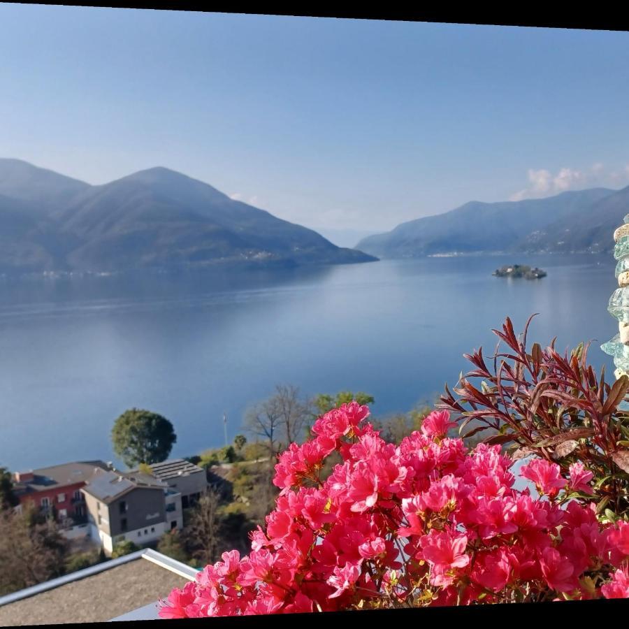Sollevante Ascona