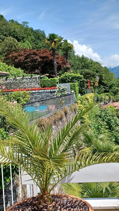 Apartment Sollevante Ascona