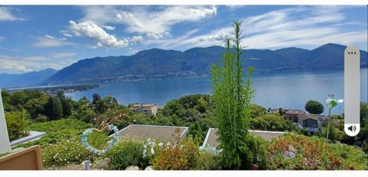 Apartamento Sollevante