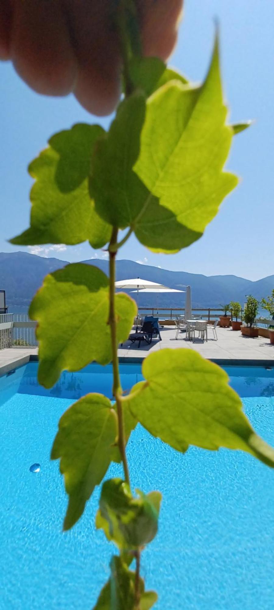 Apartamento Sollevante
